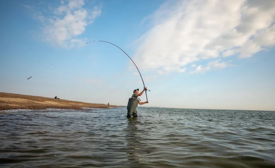 All-Season Angling – Year-Round Fishing Tips for Every Adventure
